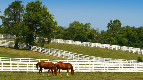 Coleman Announces Bucks County Equine Farm to be Preserved