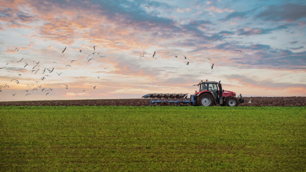 Workforce Strategies and Resources for Growing and Expanding Agricultural and Farm Operations