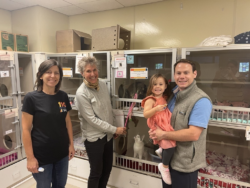 MicrosoftTeams-image-75